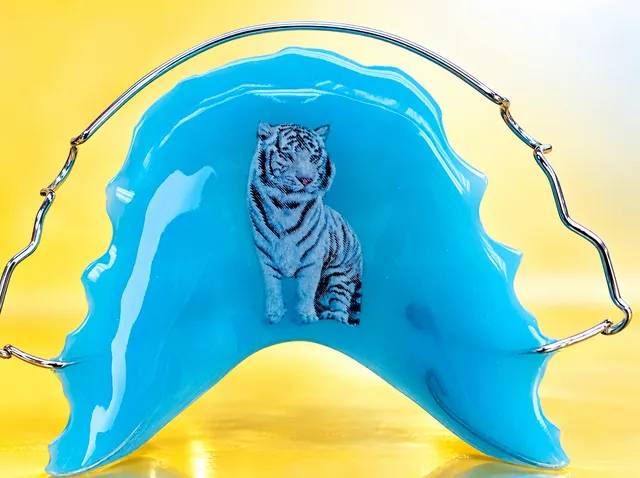 Matt turquoise with a white tiger