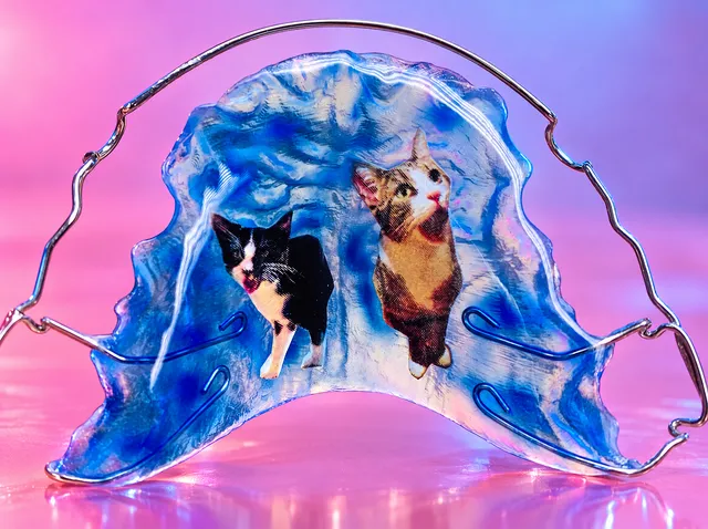 Blue and white marbled with two cats