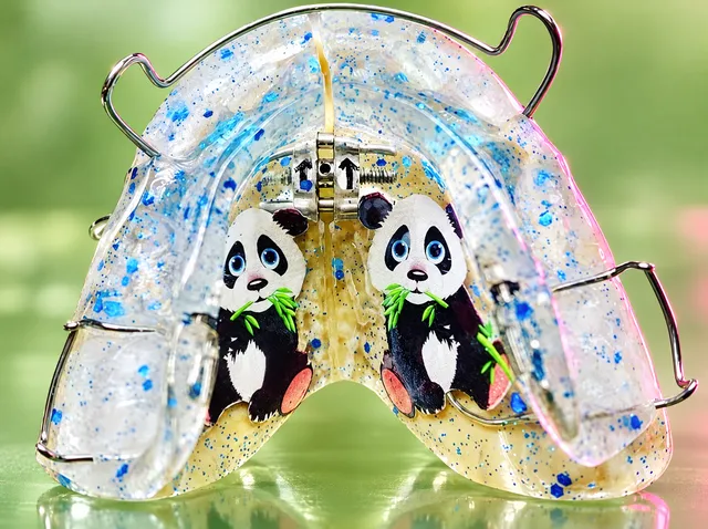 Blue snowflakes with a panda and bamboo