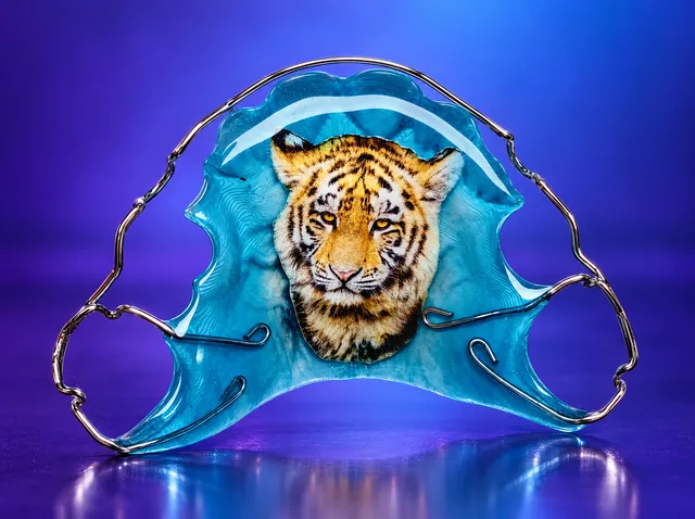 Tiger in turquoise